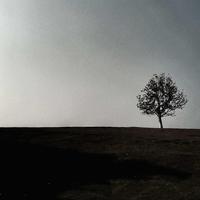 用户1893291678291头像