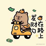 一条努力挣扎的咸鱼的个人资料头像