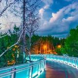 我爱我家280854307头像