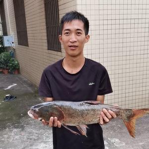广东钟表捕鱼生活视频头像