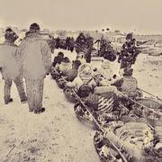 kid的个人资料头像