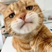 song5303的个人资料头像