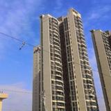 zpqq518头像