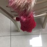 用户8605635368439头像