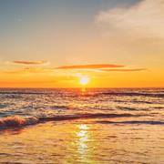 zinc小星的个人资料头像