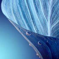 乐观埃文3x头像