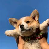 翊泽zzz头像