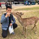 陈焕本尊的个人资料头像