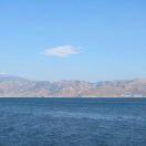 oliu的个人资料头像