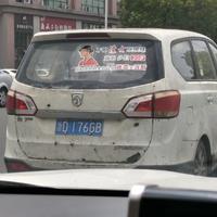 南郊名宿z头像