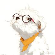 高筑墙_广积粮的个人资料头像