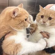 Zz610的个人资料头像