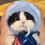 南北绿豆的个人资料头像