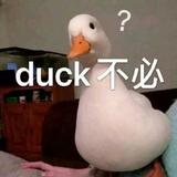 派大星丨星星头像