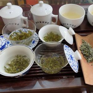 蒙顶香茗头像