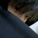 魔法铅笔Wty头像