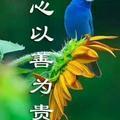 勇哥_260584298头像