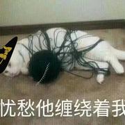 见不贤而内自省也的个人资料头像