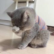 找茬工程师的个人资料头像