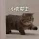一大块苹果 · 凡尔赛C5 X车主·车龄2年头像