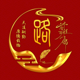 贝拉米霍克8n5z头像