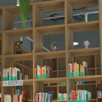 秋天多彩枫叶头像