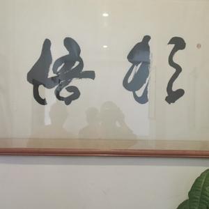 顿悟其乐无穷头像