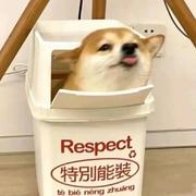 泡腾片在逃的个人资料头像