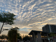 沸水的个人资料头像