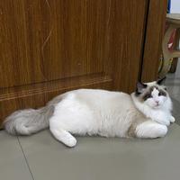 用户8831385296124头像