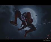 前端spiderman的个人资料头像