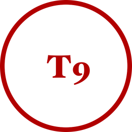 T9科技头像