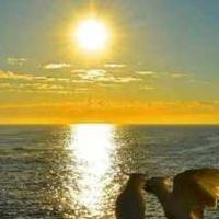 坦荡的豆花KH头像