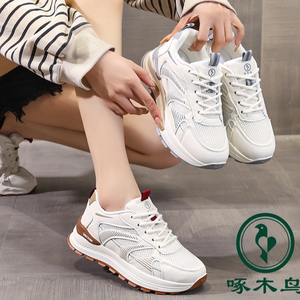 佰丽轩女鞋头像