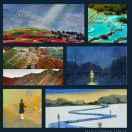 白龙酱的个人资料头像