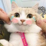 时贱510头像