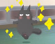 sstt_的个人资料头像