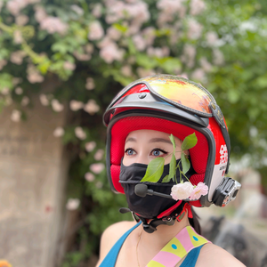 佰能熊兔兔头像