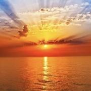 欣欣向荣329的个人资料头像