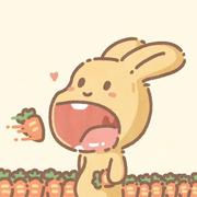 赶在日落之前的个人资料头像