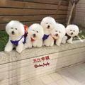 啵啵179143534头像
