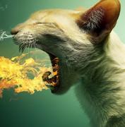 用户1485688302423的个人资料头像