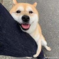 拾✘忆头像