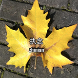 执念风景头像