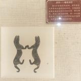 瑞途途头像