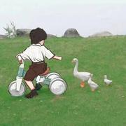 zzzzzzzzzzjx的个人资料头像