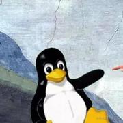 用户466054222684的个人资料头像