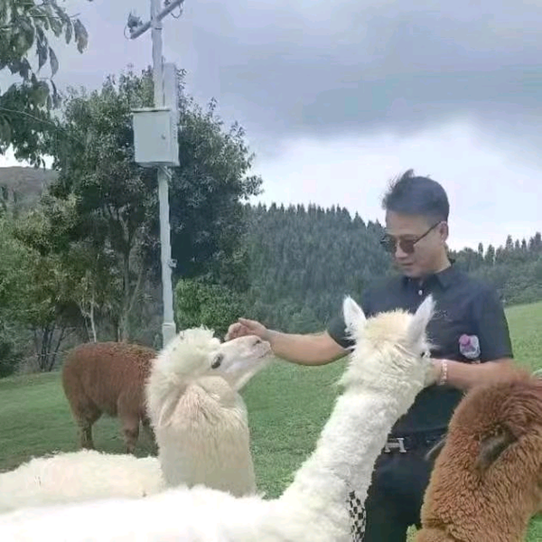 诚可信综合维修厂头像
