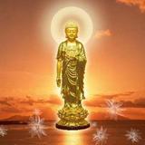 星耀933头像