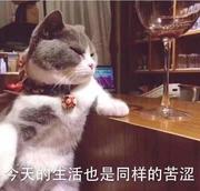 xiuge的个人资料头像